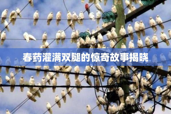 春药灌满双腿的惊奇故事揭晓