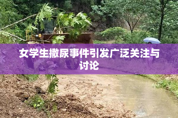 女学生撒尿事件引发广泛关注与讨论