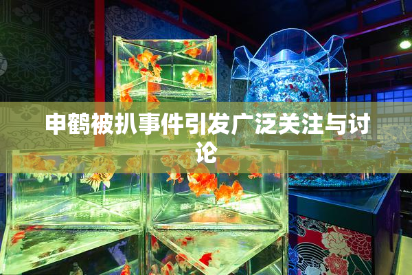 申鹤被扒事件引发广泛关注与讨论