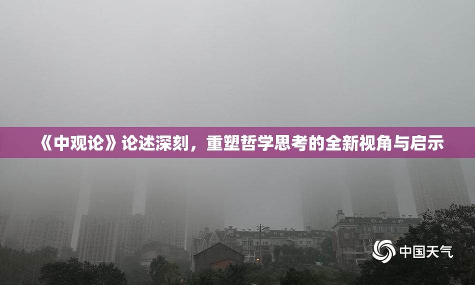 《中观论》论述深刻，重塑哲学思考的全新视角与启示