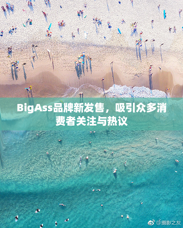 BigAss品牌新发售，吸引众多消费者关注与热议