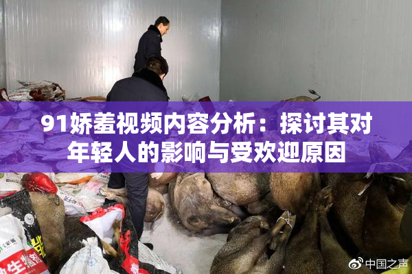 91娇羞视频内容分析：探讨其对年轻人的影响与受欢迎原因