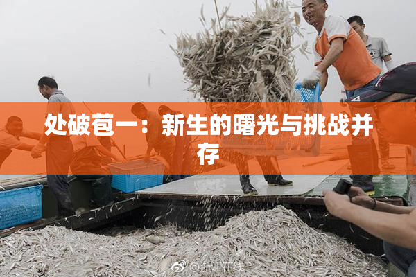 处破苞一：新生的曙光与挑战并存