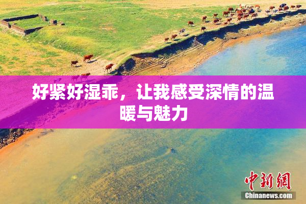 好紧好湿乖，让我感受深情的温暖与魅力