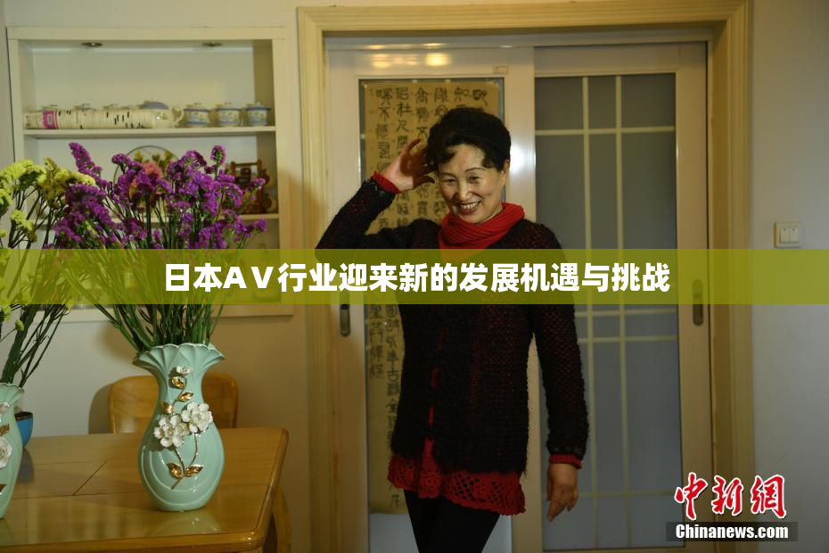 日本AⅤ行业迎来新的发展机遇与挑战