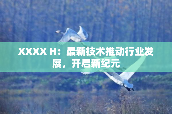 XXXX H：最新技术推动行业发展，开启新纪元