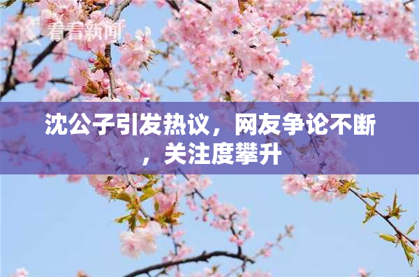 沈公子引发热议，网友争论不断，关注度攀升