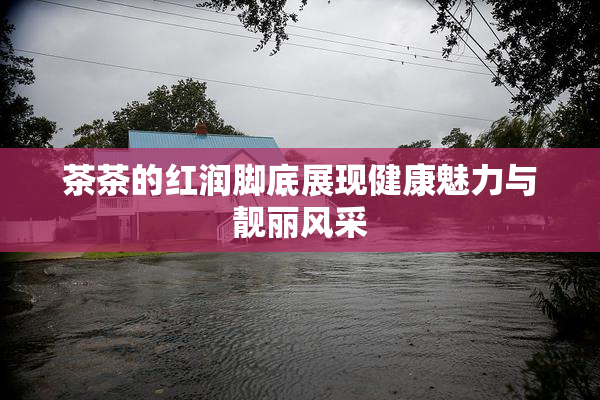 茶茶的红润脚底展现健康魅力与靓丽风采