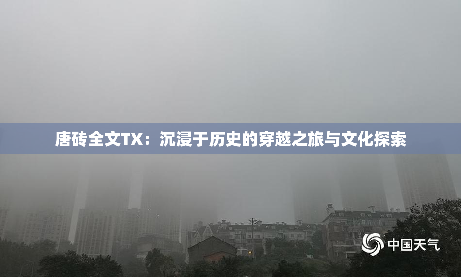 唐砖全文TX：沉浸于历史的穿越之旅与文化探索