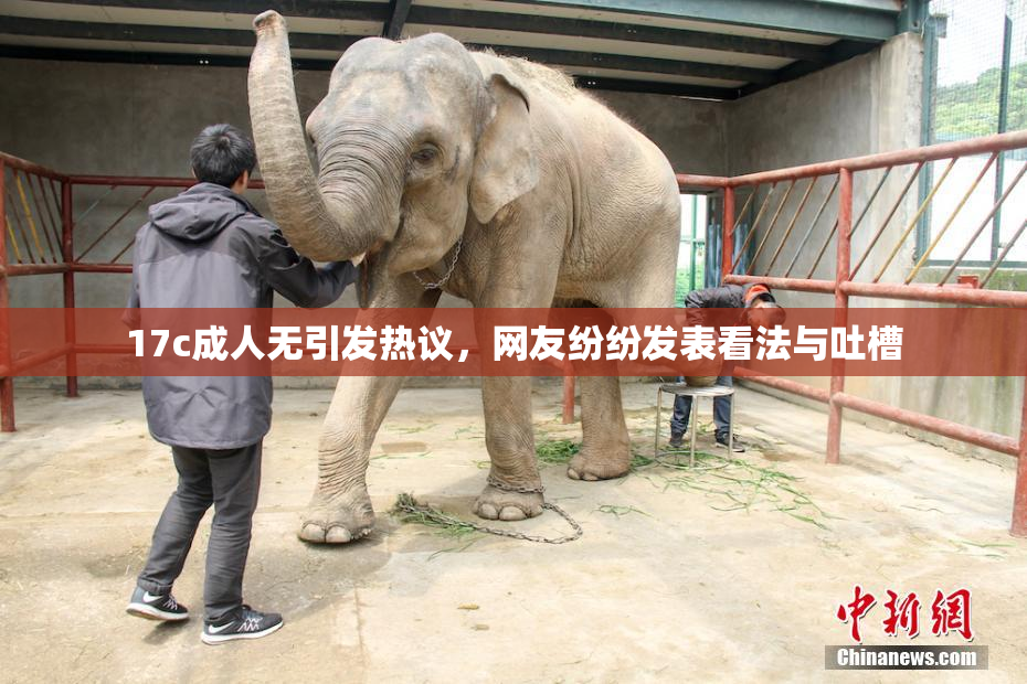 17c成人无引发热议，网友纷纷发表看法与吐槽