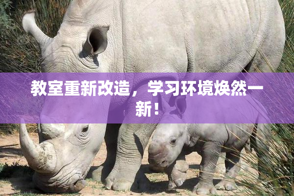教室重新改造，学习环境焕然一新！