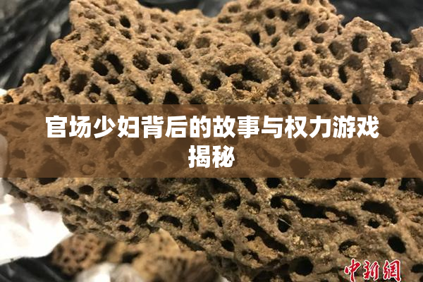 官场少妇背后的故事与权力游戏揭秘