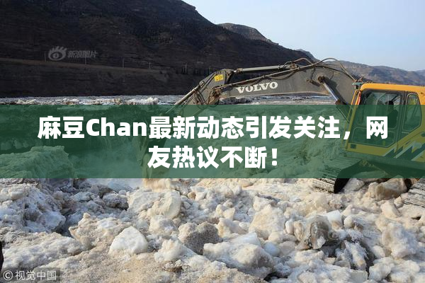 麻豆Chan最新动态引发关注，网友热议不断！