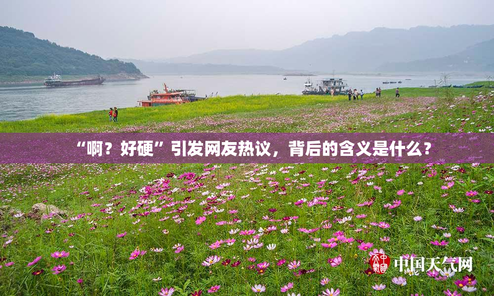 “啊？好硬”引发网友热议，背后的含义是什么？