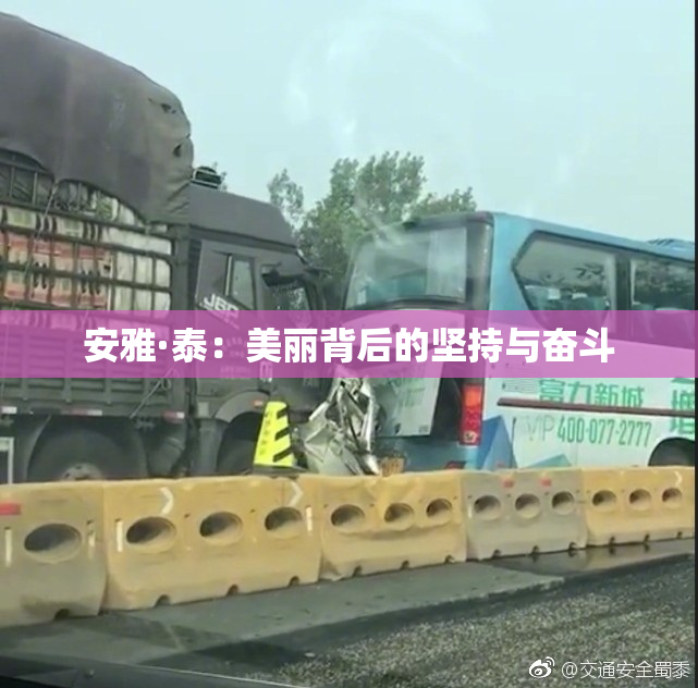 安雅·泰：美丽背后的坚持与奋斗