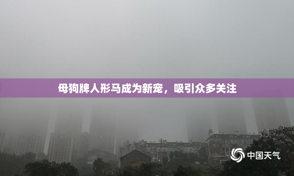 母狗牌人形马成为新宠，吸引众多关注