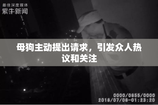 母狗主动提出请求，引发众人热议和关注