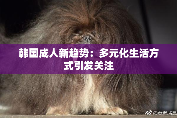 韩国成人新趋势：多元化生活方式引发关注