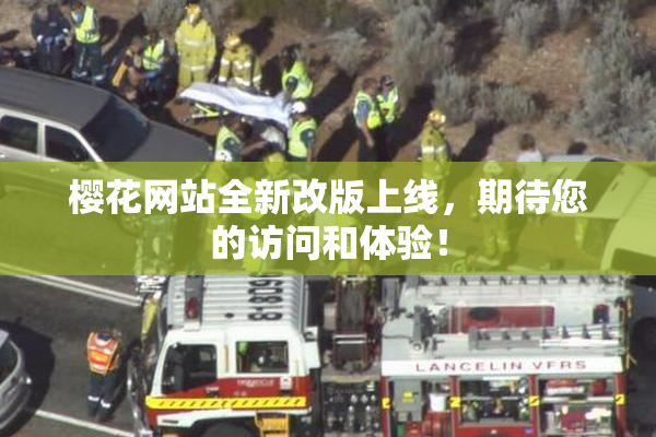 樱花网站全新改版上线，期待您的访问和体验！