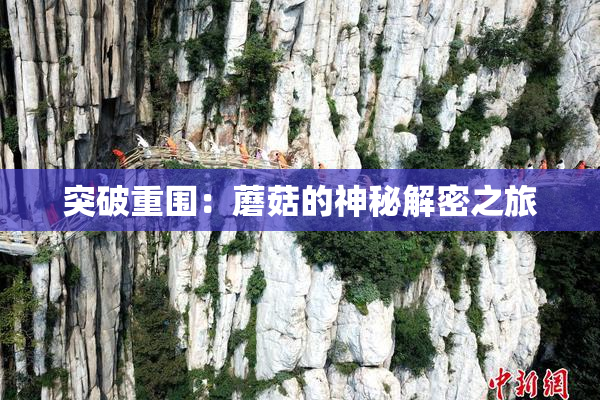 突破重围：蘑菇的神秘解密之旅