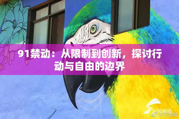 91禁动：从限制到创新，探讨行动与自由的边界