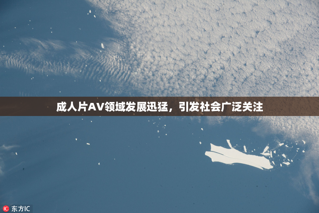 成人片AV领域发展迅猛，引发社会广泛关注
