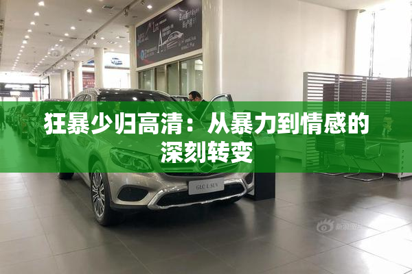狂暴少归高清：从暴力到情感的深刻转变