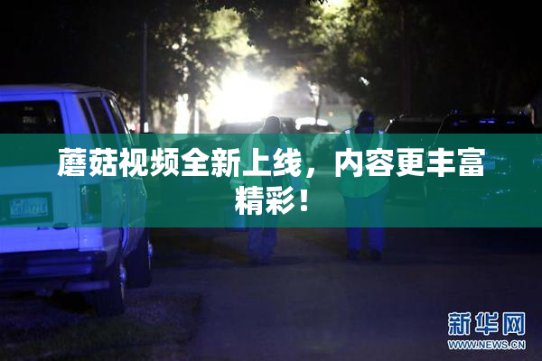 蘑菇视频全新上线，内容更丰富精彩！