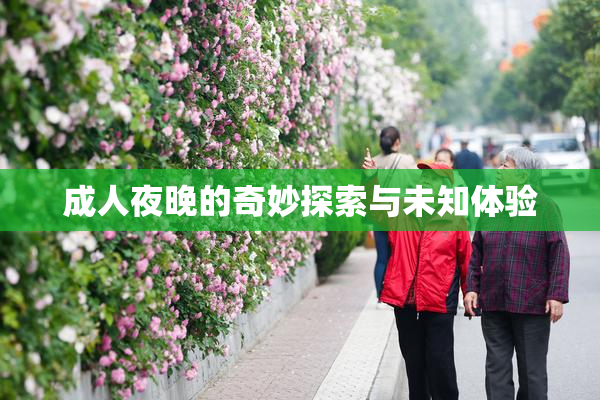 成人夜晚的奇妙探索与未知体验