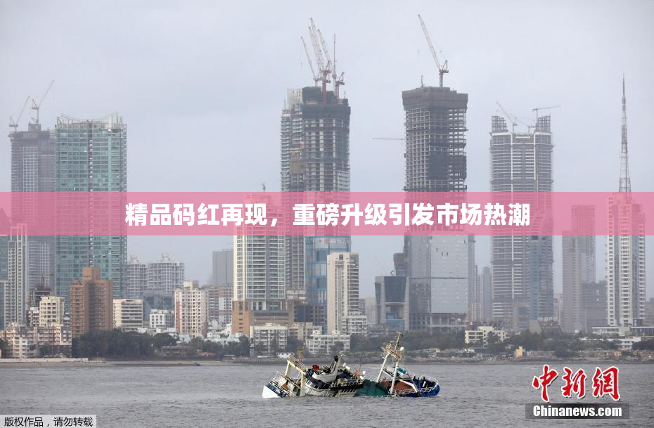 精品码红再现，重磅升级引发市场热潮
