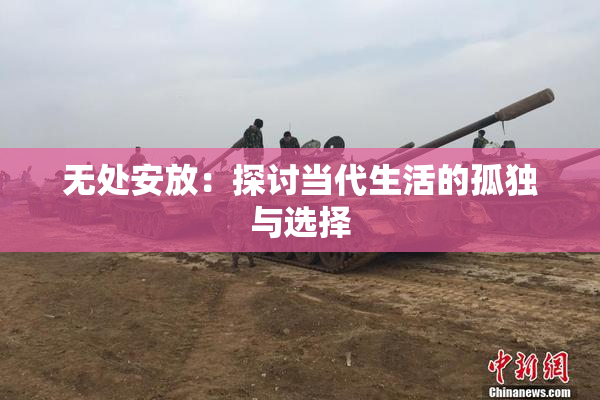 无处安放：探讨当代生活的孤独与选择