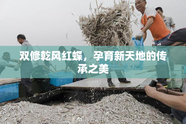 双修乾风红蝶，孕育新天地的传承之美