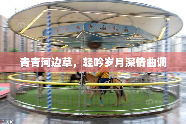 青青河边草，轻吟岁月深情曲调