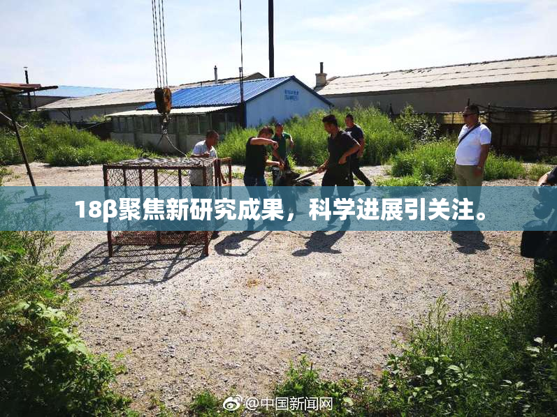 18β聚焦新研究成果，科学进展引关注。