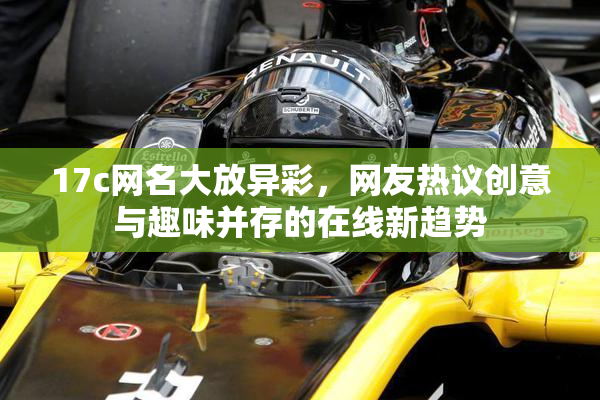 17c网名大放异彩，网友热议创意与趣味并存的在线新趋势
