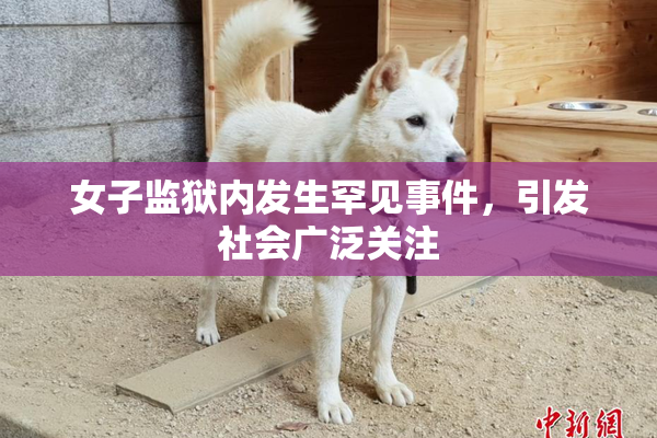 女子监狱内发生罕见事件，引发社会广泛关注