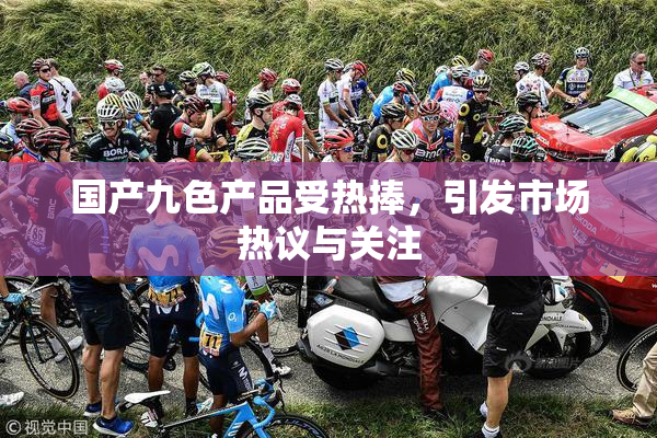 国产九色产品受热捧，引发市场热议与关注