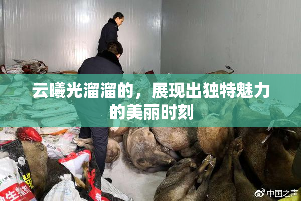 云曦光溜溜的，展现出独特魅力的美丽时刻