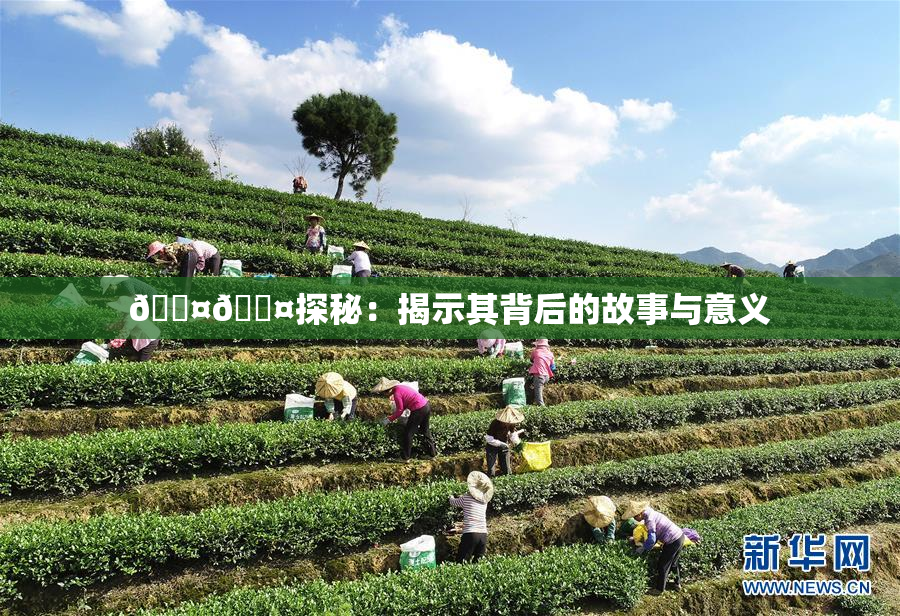 🐤🐤探秘：揭示其背后的故事与意义