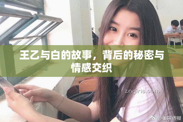 王乙与白的故事，背后的秘密与情感交织