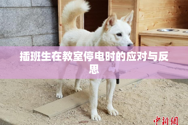 插班生在教室停电时的应对与反思