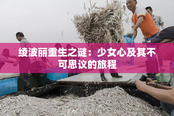绫波丽重生之谜：少女心及其不可思议的旅程