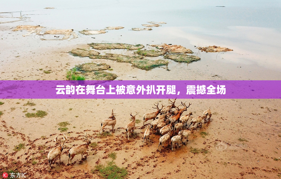 云韵在舞台上被意外扒开腿，震撼全场