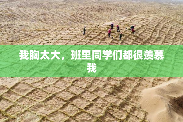 我胸太大，班里同学们都很羡慕我