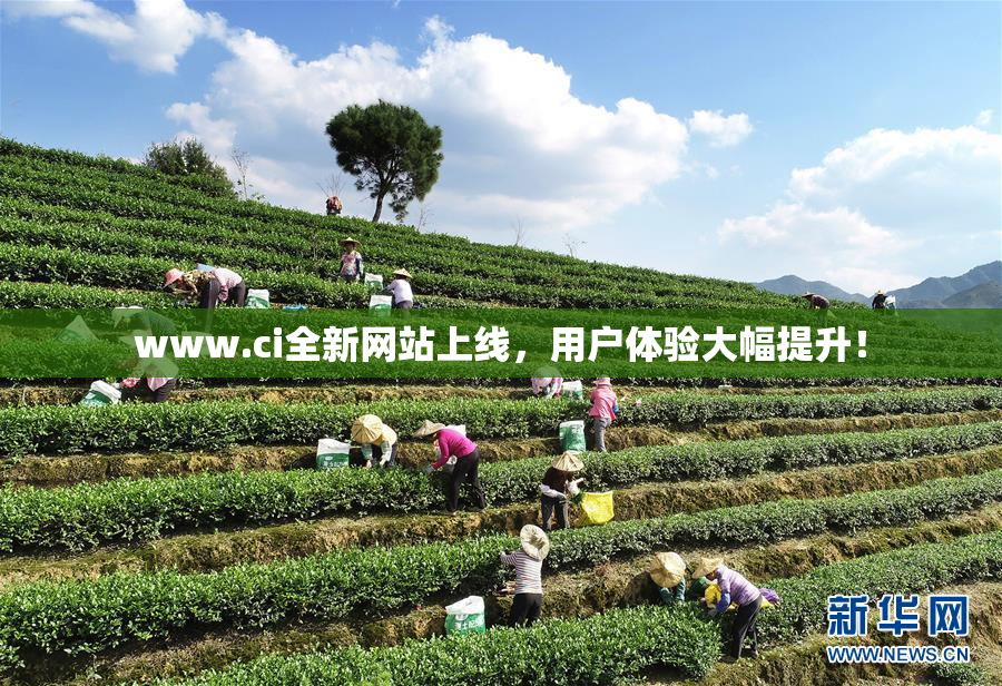 www.ci全新网站上线，用户体验大幅提升！