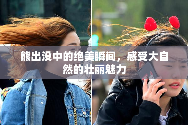 熊出没中的绝美瞬间，感受大自然的壮丽魅力
