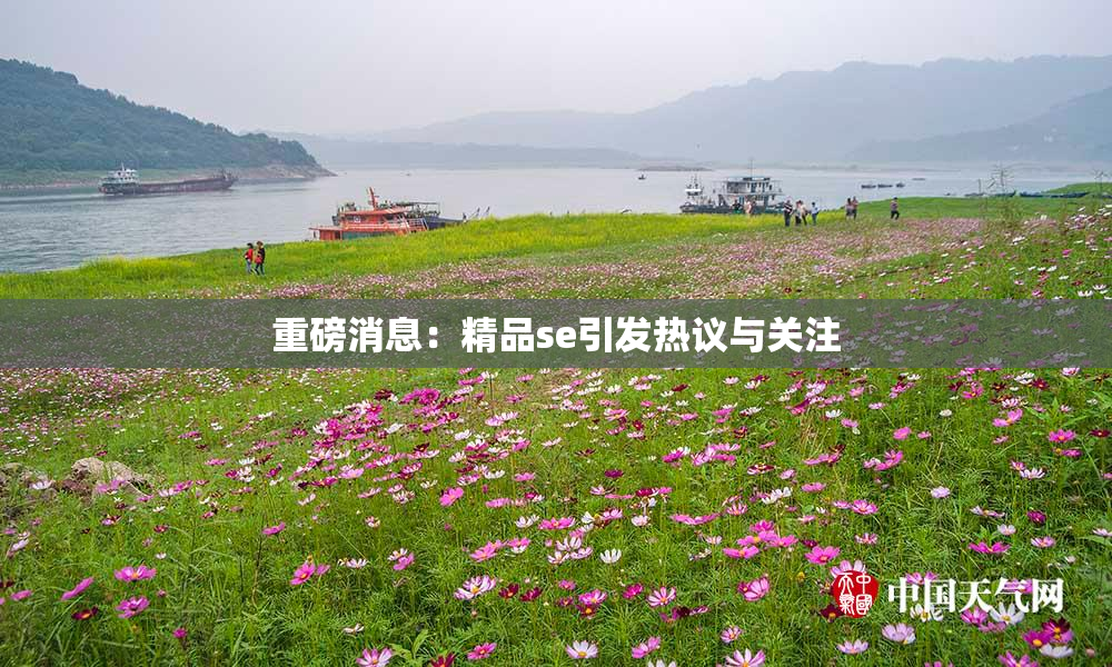 重磅消息：精品se引发热议与关注
