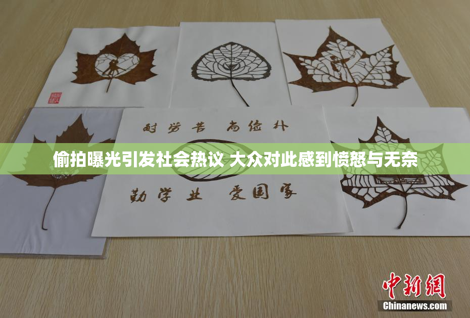 偷拍曝光引发社会热议 大众对此感到愤怒与无奈