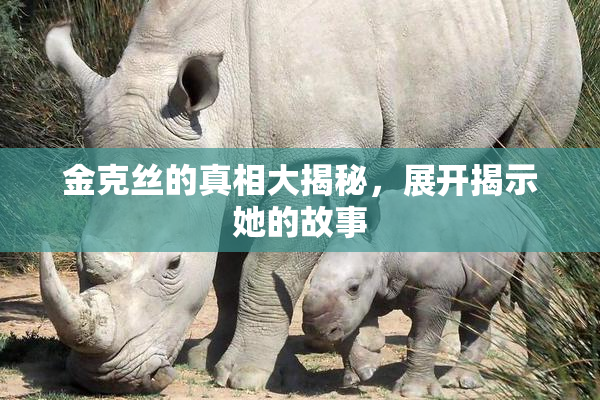 金克丝的真相大揭秘，展开揭示她的故事