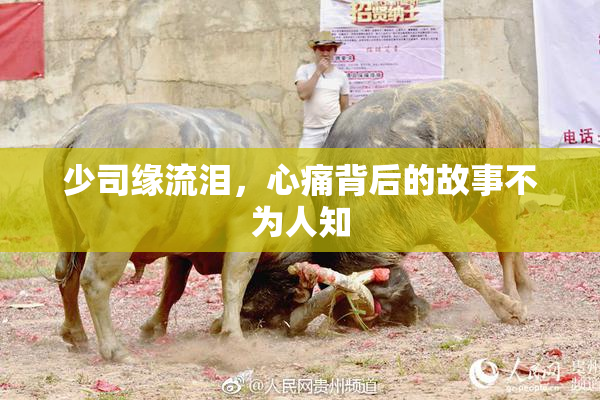少司缘流泪，心痛背后的故事不为人知